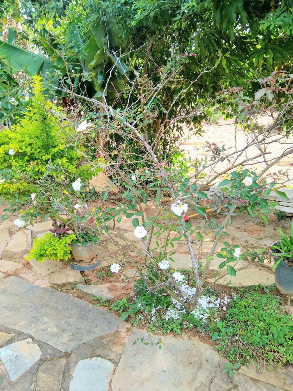 Sitio Vale Das Montanhas Sao Tome das Letras Ngoại thất bức ảnh